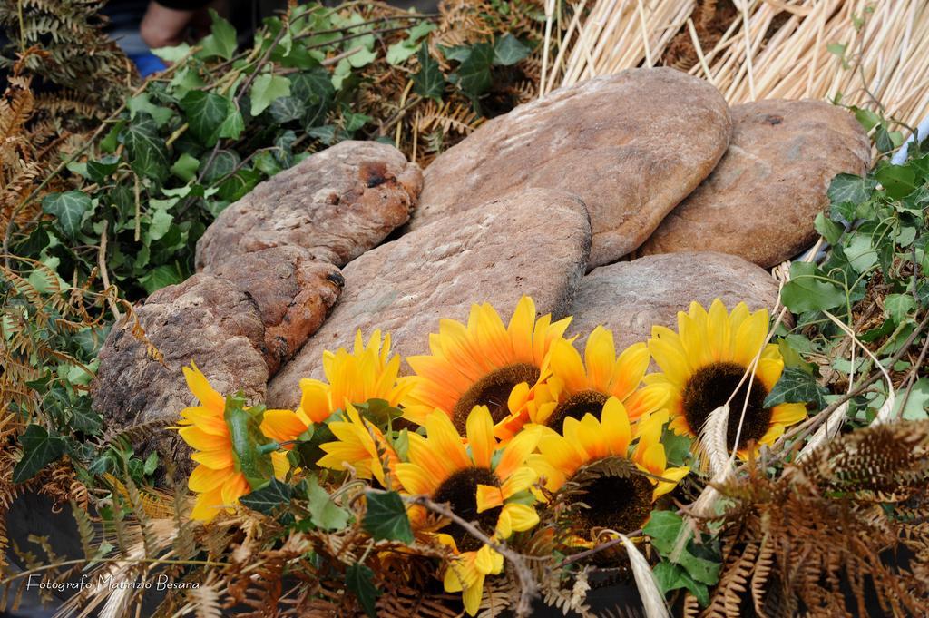 Bed & Breakfast Al Sasso Toceno